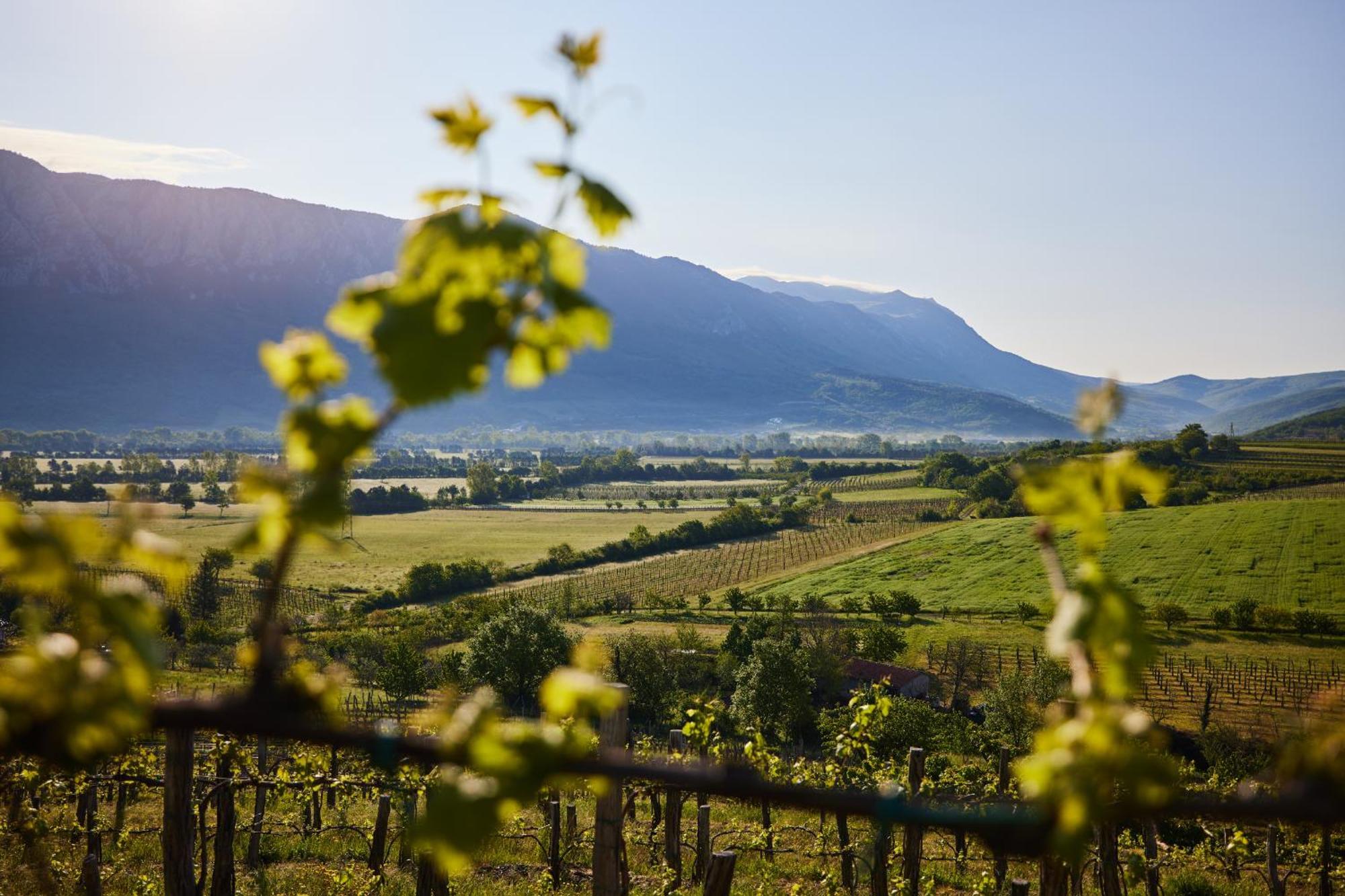 Fine Rooms Vipava Exterior foto